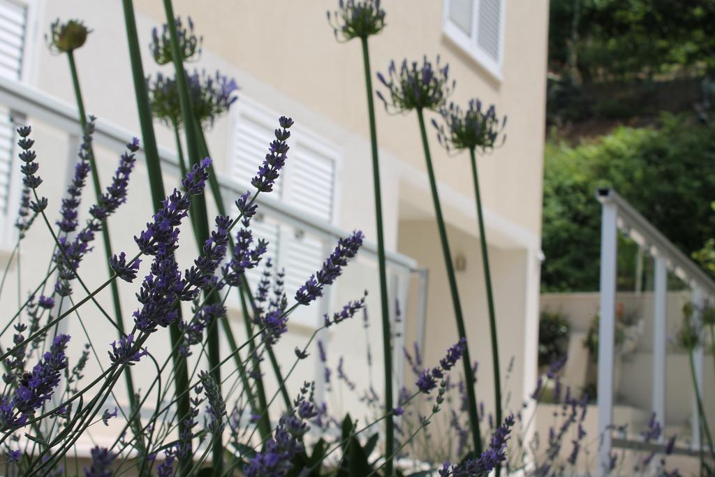Apartments Lavanda Budva Luaran gambar